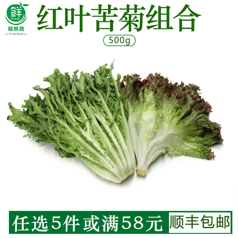 新鲜红叶苦菊生菜蔬菜组合沙拉食材混合500g沙拉蔬菜西餐食材健身