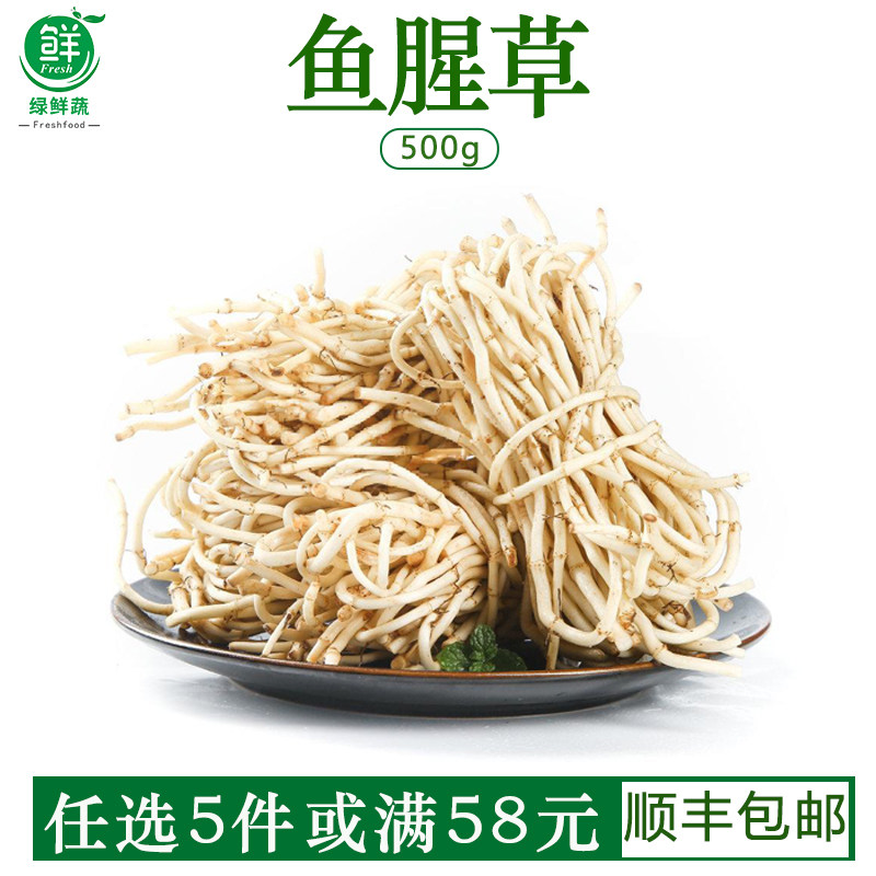 鱼腥草新鲜折耳根嫩根节节根凉拌家庭菜农家当季时令蔬菜1斤