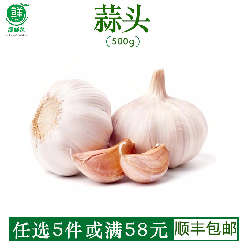 新鲜大蒜头500g白皮大蒜干蒜调料调味食材农家蒜新鲜蔬菜顺丰