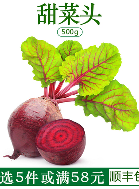 新鲜甜菜根甜菜头红菜头蔬菜西餐食材榨汁绿色农家自产500g
