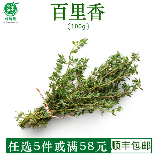 新鲜百里香煎牛排用烧烤香料菜新鲜西餐香料调味菜特香100g