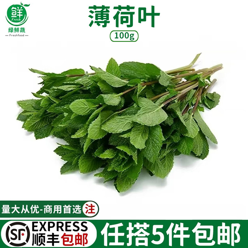 新鲜薄荷叶食用泡水留兰香薄荷叶子调酒鸡尾酒烘培商用装饰菜包邮