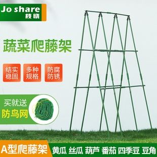 枝晓 种菜 黄瓜爬藤支架架子架杆植物阳台丝瓜蔬菜豆角菜园爬藤架