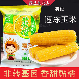 东北英俊速冻糯玉米 黄金勾黄金沟 油豆角冷冻商用一锅出苞米棒