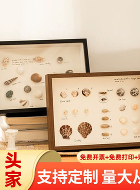 海洋贝壳标本DIY相框ins风夏天中空3cm画框手工摆件相框收藏画框