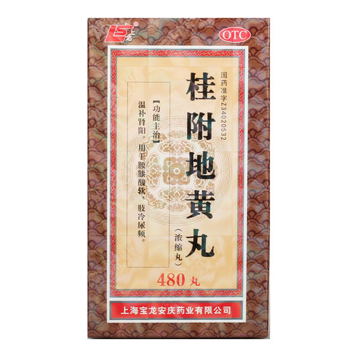 【上龙】桂附地黄丸(浓缩丸)0.375g*480丸/盒