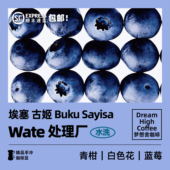 Wate处理厂 梦想舍埃塞古姬74110&74112水洗精品单品手冲咖啡豆粉