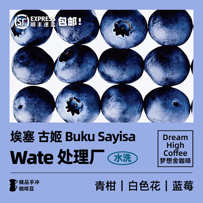 梦想舍Wate处理厂精品手冲咖啡豆