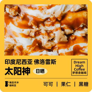 梦想舍可可手冲新几内亚太阳神中深新鲜烘手冲精品咖啡豆120g