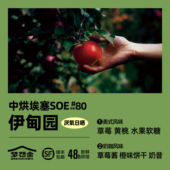 伊甸园SOE 咖啡豆粉 梦想舍埃塞古姬罕贝拉草莓酒厌氧日晒精品意式