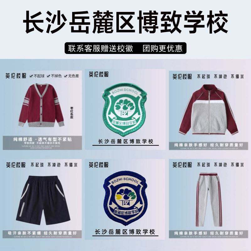 长沙岳麓区博致学校博才拓维校服校徽棉短袖冲锋衣衬衫棒球服长裤