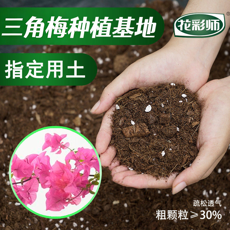 虹越三角梅专用大颗粒营养土图片