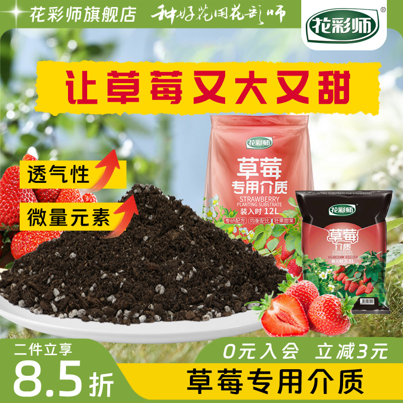 虹越花彩师草莓专用土培养土种植盆栽家庭园艺阳台花园营养土肥料