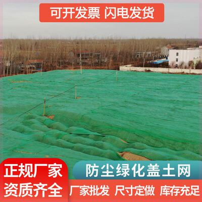 土网尘 建筑化工地绿化覆盖网绿裸盖土遮盖网绿色环保盖防煤网网