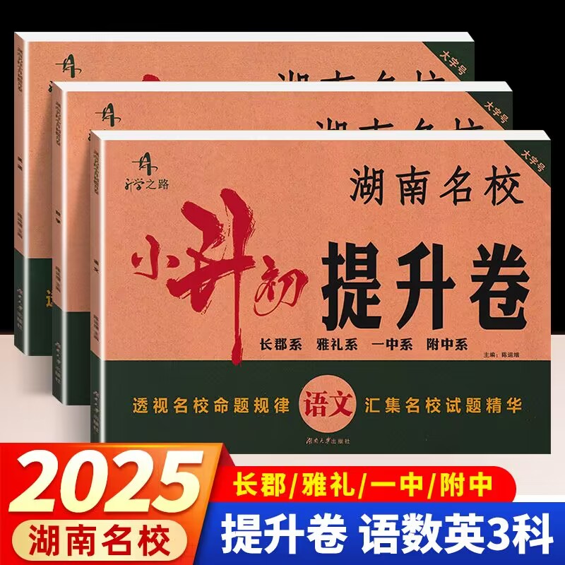 升学之路小升初提升卷