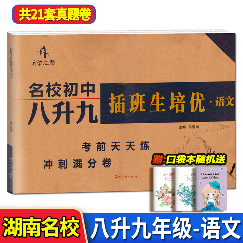 2024升学之路名校初中八升九插班生培优真题卷语文湖南名校冲刺满分试卷初二8升初三9年级预习复习衔接教材知识点天天练习册试题-封面