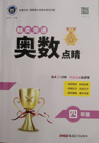 触类旁通奥数点睛册通用版