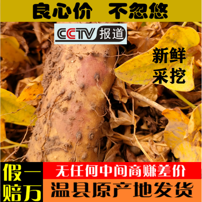 温县垆土铁棍怀山药河南焦作正宗铁杆铁桂红皮新鲜淮山药净重5斤