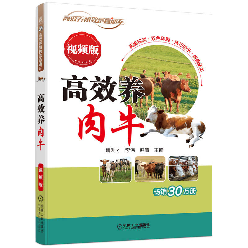 高效养肉牛 视频版 魏刚才 9787111708858 高效养殖致富直通车