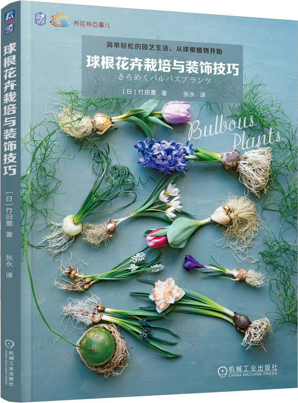 球根花卉栽培与装饰技巧 竹田薰 玻璃水培容器 阳台 庭院 生长类型 施肥 活力剂 百合 病虫害 鸢尾 郁金香 风信子