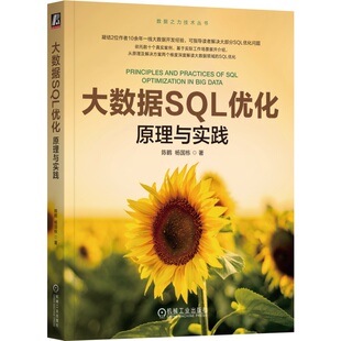 著 杨国栋 从大数据SQL优化本质到解决方案 9787111767039 社 大数据SQL优化：原理与实践 机械工业出版 陈鹤