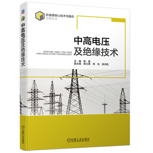 中高电压及绝缘技术 高嵬 新基建核心技术与融合应用丛书 中高电压技术 缘技术 岸电技术 中高电压前沿