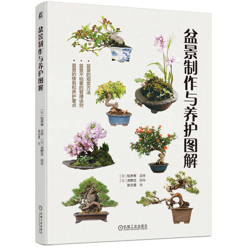 盆景制作与养护图解 松井孝 乐趣 看点 观赏要点 松柏 黑松 东北红豆杉 日本柳杉 榉树 槭树 野山楂 日本紫茎 树形