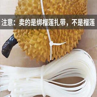 榴莲系带自锁尼龙系带塑料绑扎带强扣固定系带超长加宽