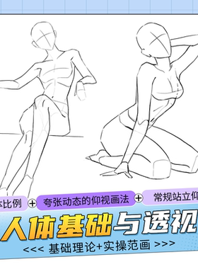 人体躯干四肢比例及动态透视范画