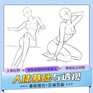 人体躯干四肢比例及动态透视范画