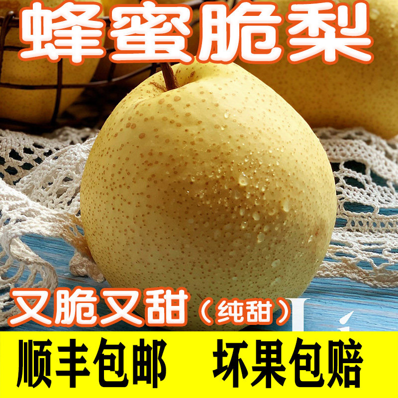 当季水果蜂蜜脆梨纯甜无酸当季新鲜水果整箱酥梨砀山糖梨顺丰包邮