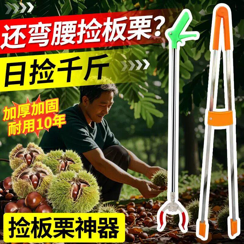 捡板栗子神器夹拣山核桃坚果工具水果收集器不锈钢加厚加长拾果器