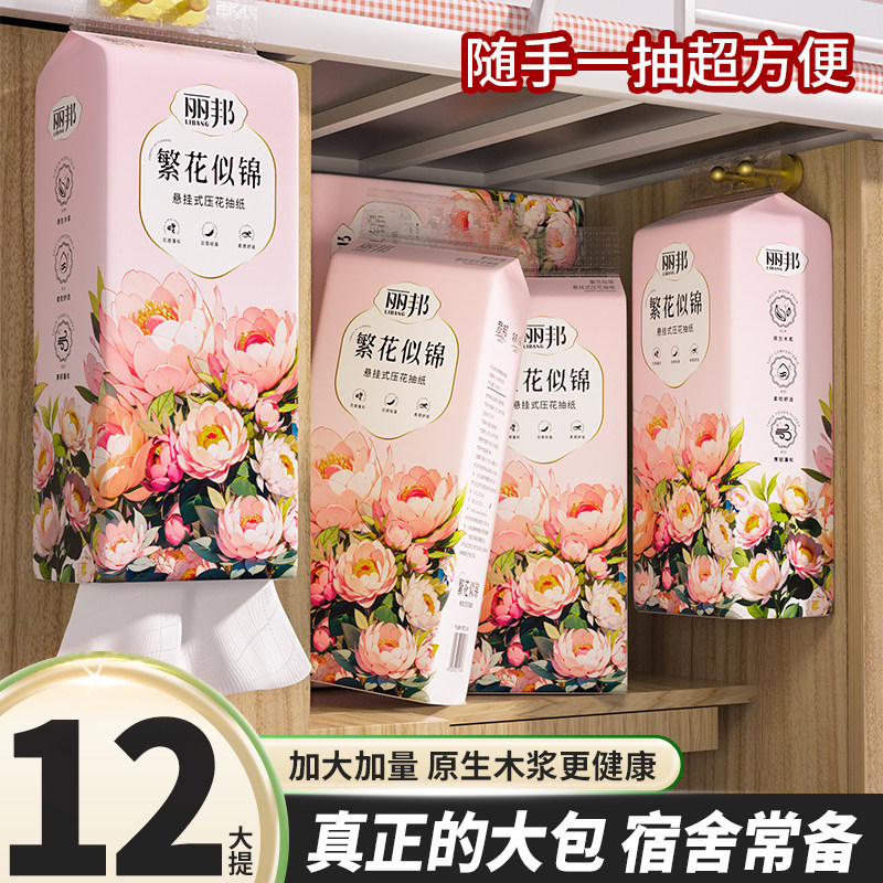 丽邦悬挂式抽纸巾家用提挂式平板卫生纸巾批发擦手纸面巾纸抽pd