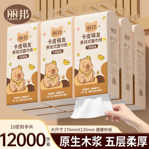 丽邦抽纸悬挂式卫生纸家用实惠装纸巾纸抽整箱餐巾纸大包厕纸pd