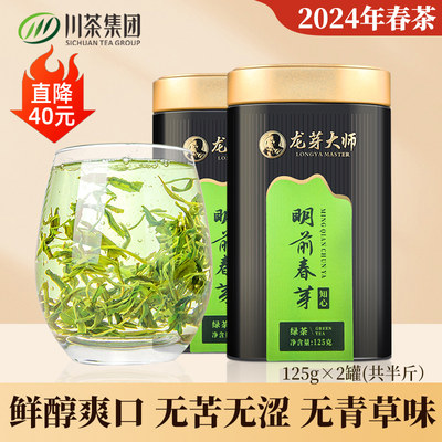 2024年春茶龙芽大师明前春芽绿茶