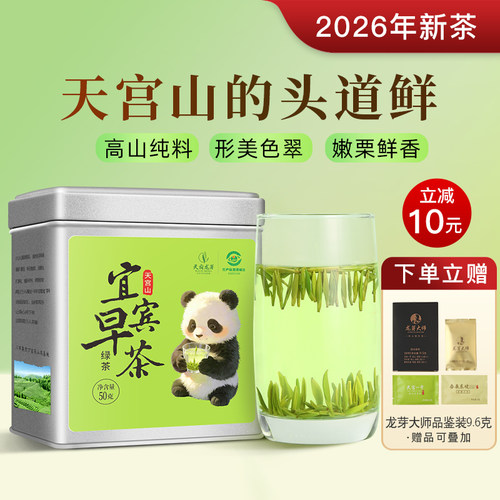 2026年新茶天宫山头道鲜实心芽