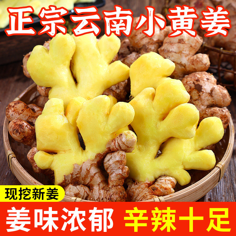 正宗云南新鲜小黄姜生姜干老姜嫩姜土姜子姜现挖高山沙姜5斤包邮