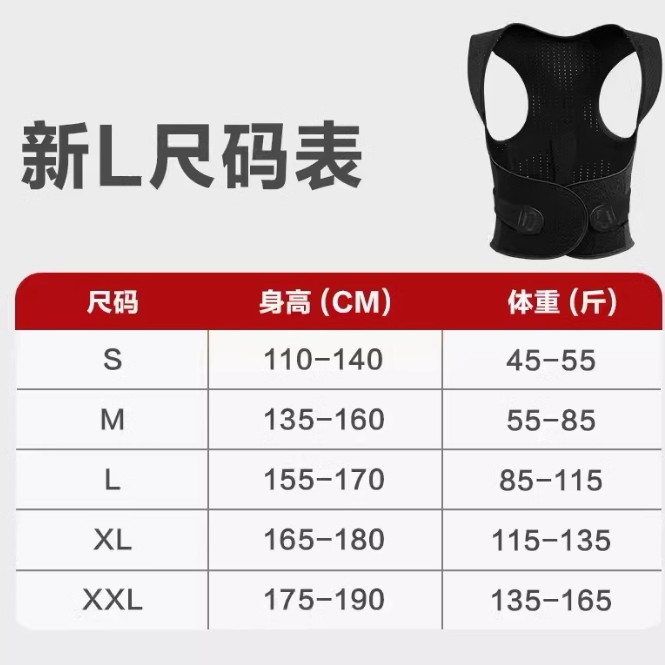 白鹿同款新品背喏尔新L小鹿矫姿带预防驼背透气直背成人男女背部