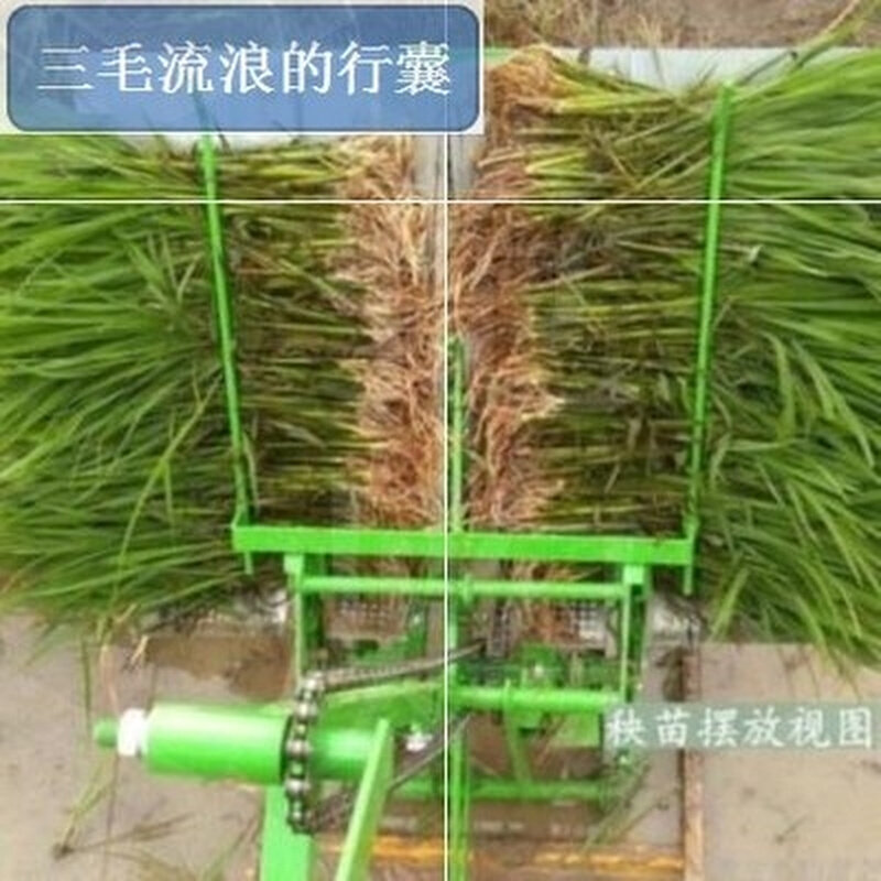 插秧机水稻农用创意移栽手推实用坚固省时新款秧盘育秧方便网