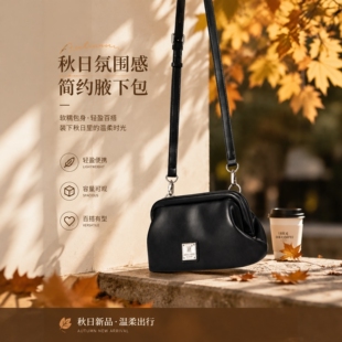 阿诺妮斯简约腋下包女百搭黑色小包轻便斜挎包多层收纳通勤单肩包