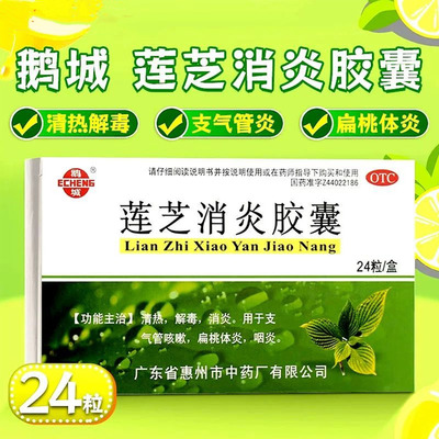 鹅城莲芝消炎胶囊24粒正品清热解毒消炎支气管咳嗽扁桃体炎咽炎