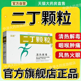 国嘉 二丁颗粒9袋/盒 清热解毒火热毒盛热疖痈痛咽喉肿痛风热火眼