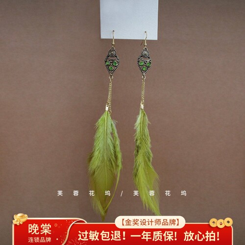 芙蓉花坞 苍山烟~羽毛流苏镶钻耳坠女超仙民族风耳环小众气质A407