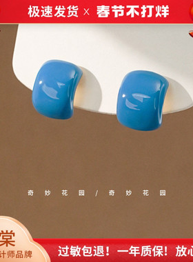 奇妙花园 「蓝色油画」超显白湖蓝色耳钉耳环高级感糖果色A0597