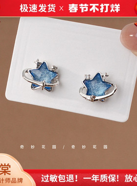 奇妙花园 海洋之心 蓝色梦幻星球耳饰女小众独特日常耳环耳夹A949