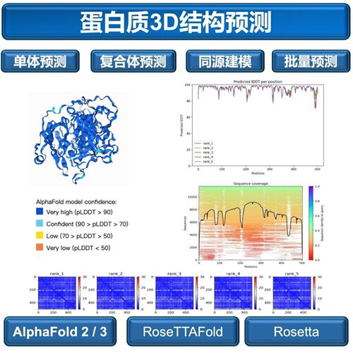 蛋白质3D结构预测/AlphaFold2&3服务/相互作用预测