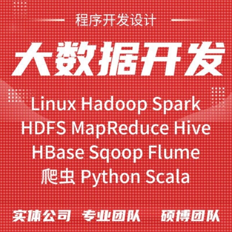 Hadoop大数据代做Spark开发Python程序Scala数据分析可视化大屏