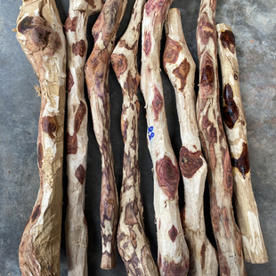 Y 打磨棍料正宗海南黄花梨原木鬼眼料老紫黑油梨雕刻手串手把件料