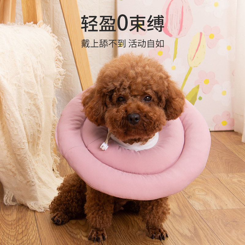 莎白圈猫脖圈猫咪项圈狗狗头套颈