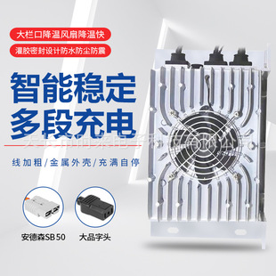 新能源电动汽车车载48V60V72V30A锂电池大功率快充防水充电机